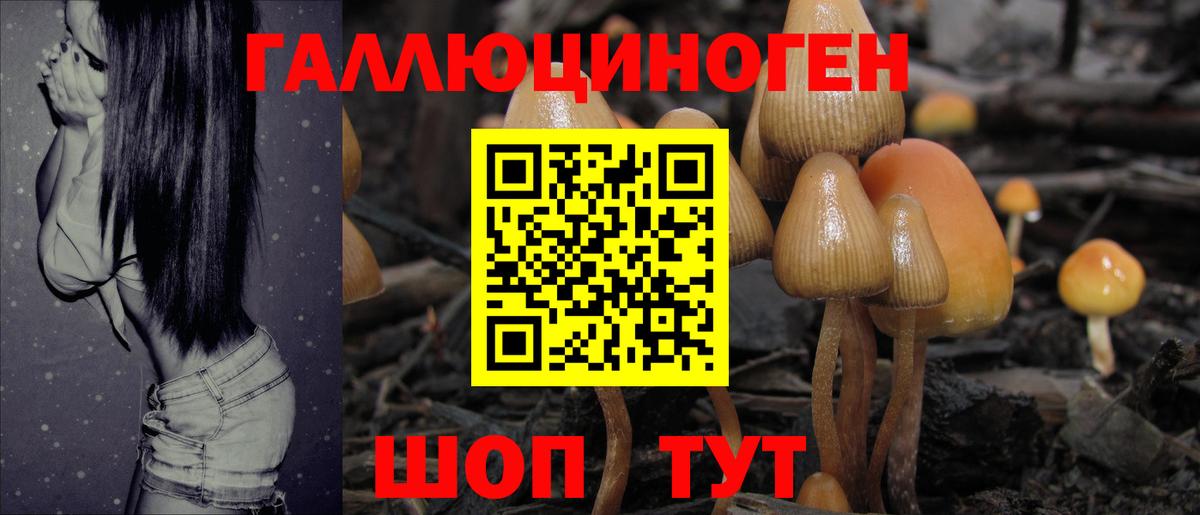 Галлюциногенные грибы прущие грибы Гусиноозёрск