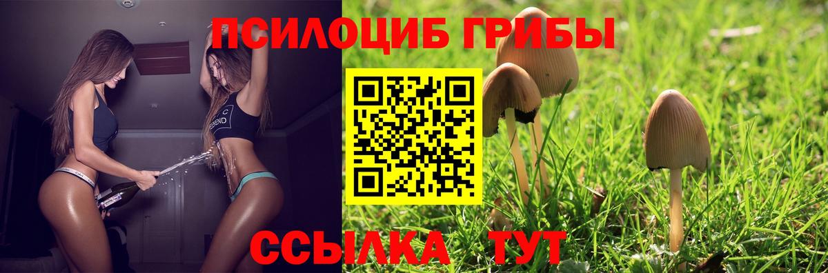 Псилоцибиновые грибы Cubensis  Вход с VPN  Псилоцибиновые грибы MAGIC MUSHROOMS  Гусиноозёрск 